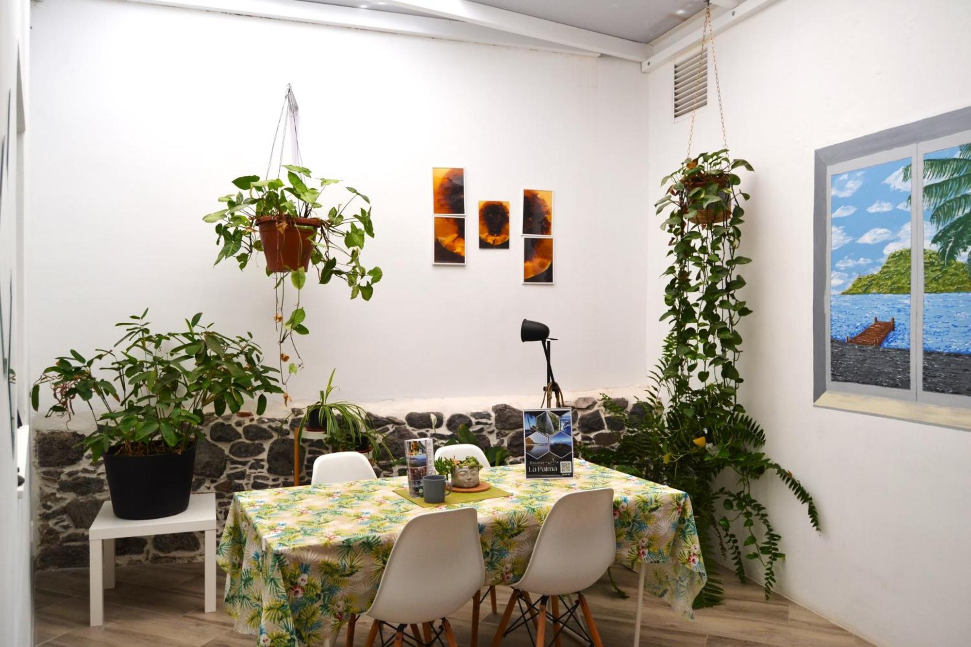 Room With Private Bathroom - Vivienda Vacacional Out Of Blue サンタ・クルス・デ・ラ・パルマ スペイン エクステリア 写真